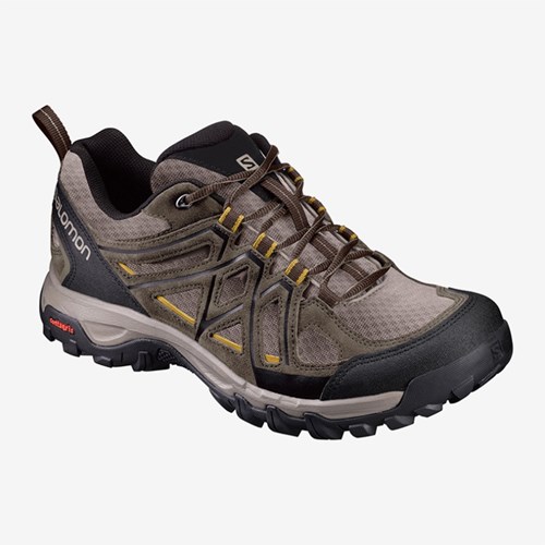 Men's Salomon Evasion 2 Aero Walking Shoes Khaki | US(315907)