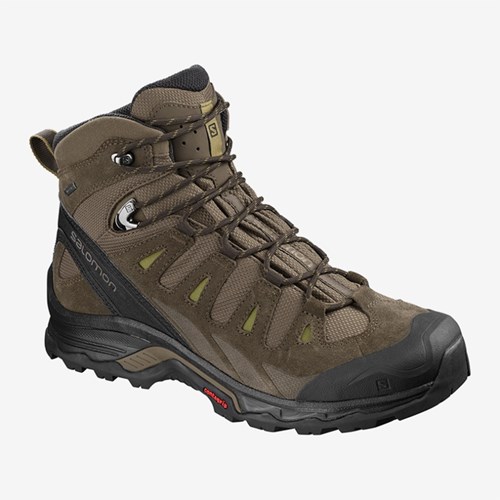 Men's Salomon Quest Prime Gtx Walking Boots Brown | US(675013)