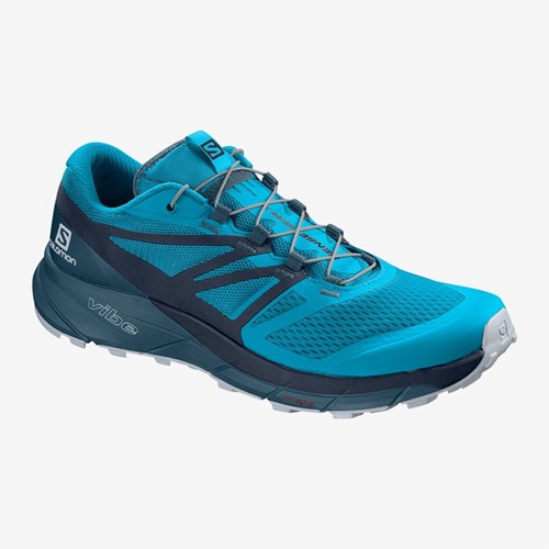 Men's Salomon Sense Ride 2 Running Shoes Blue | US(160274)