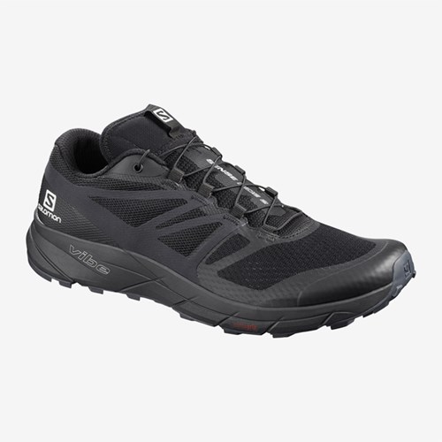 Men's Salomon Sense Ride 2 Running Shoes Black | US(257410)