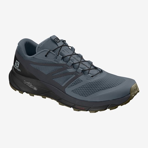 Men's Salomon Sense Ride 2 Running Shoes Navy | US(842130)