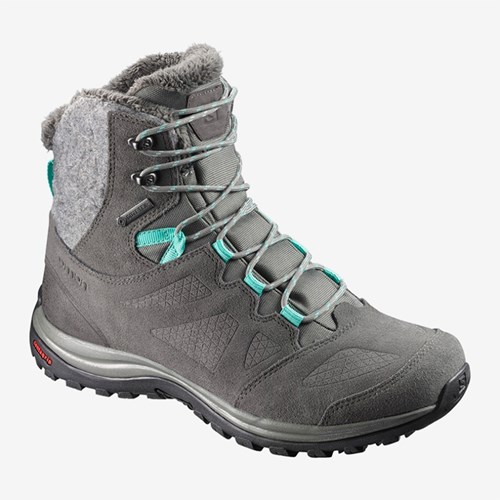 Women's Salomon Ellipse Winter Gtx Snow Boots Gray | US(097348)