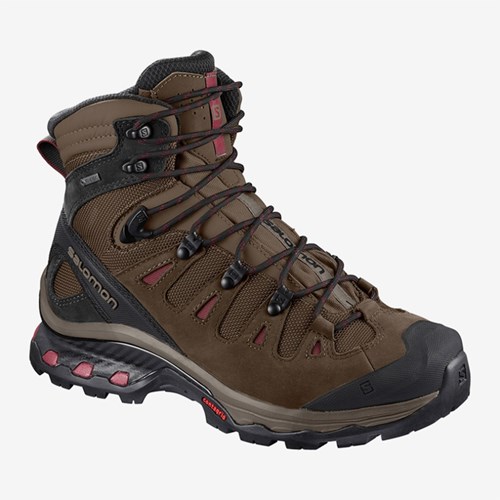 Women's Salomon Quest 4d 3 Gtx W Walking Boots Brown | US(378052)