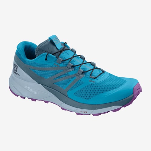 Women's Salomon Sense Ride 2 W Trail Running Shoes Blue | US(105384)