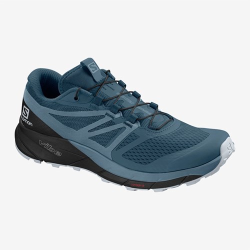 Women's Salomon Sense Ride 2 W Trail Running Shoes Navy | US(169534)