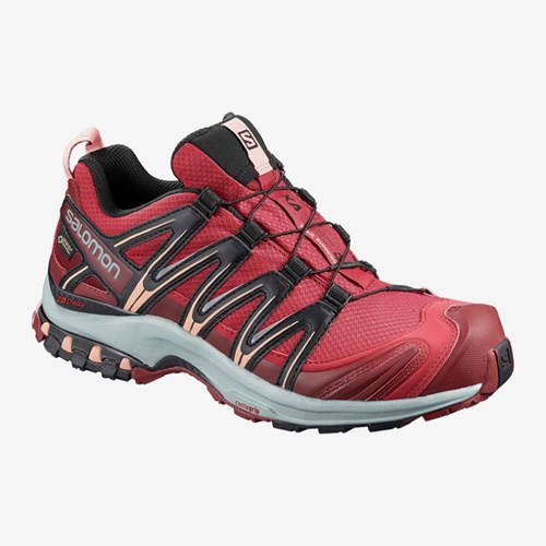 Women's Salomon Xa Pro 3d Gtx W Trail Running Shoes Red | US(057694)