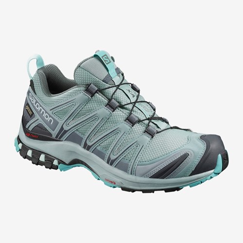 Women's Salomon Xa Pro 3d Gtx W Trail Running Shoes Lead | US(627935)